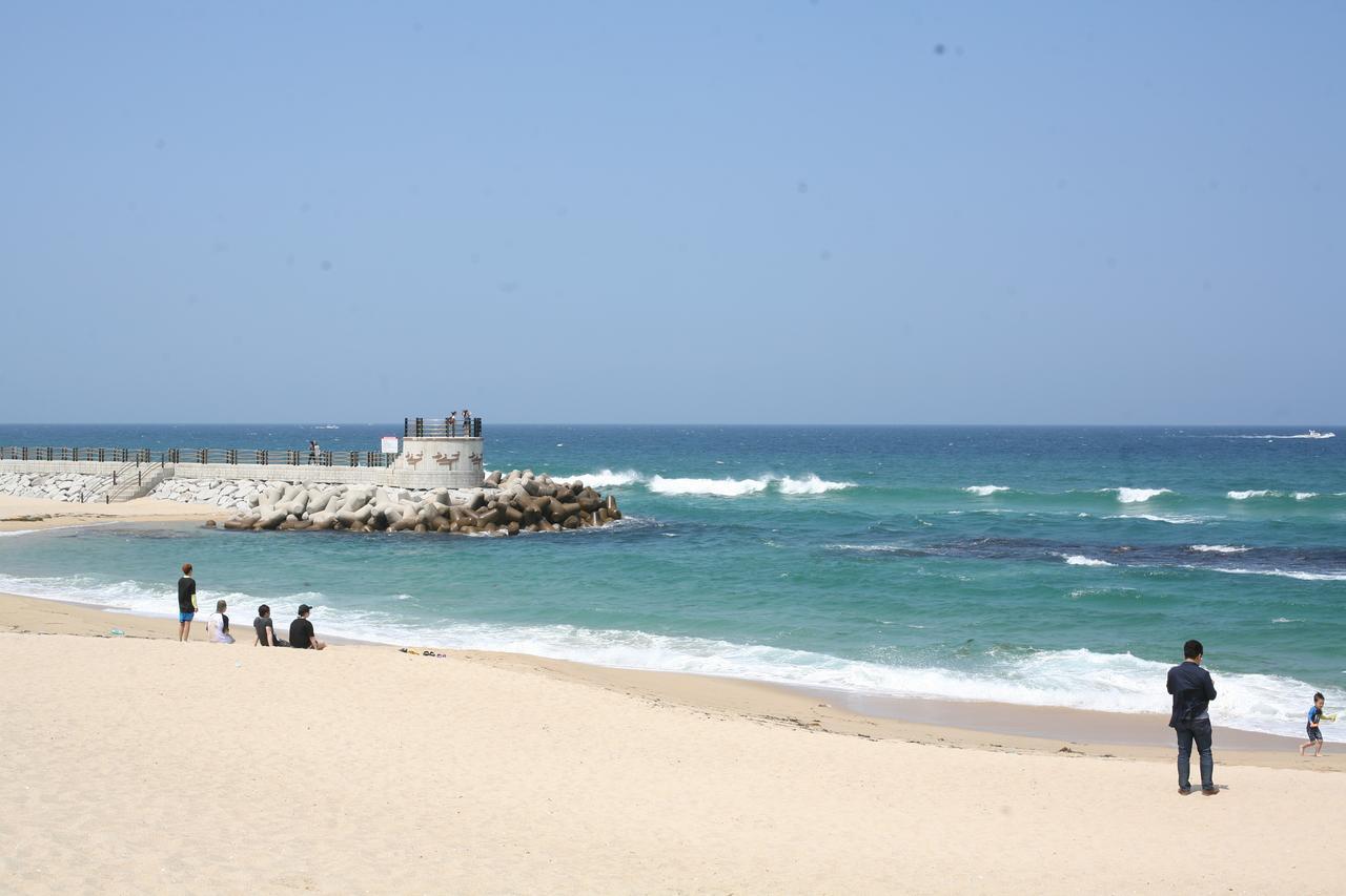 Siesta Caravan Gangneung Dış mekan fotoğraf