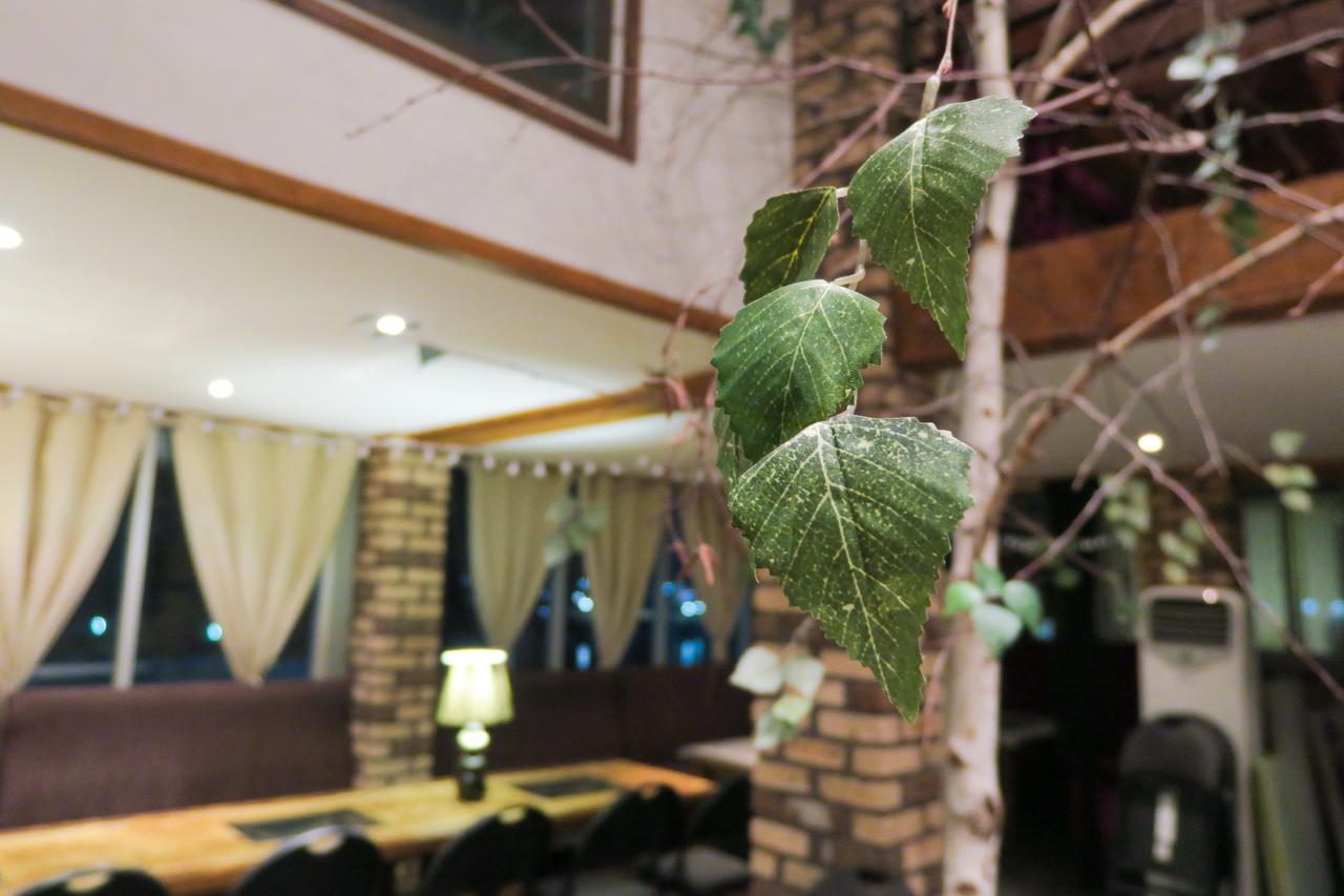 Siesta Caravan Gangneung Dış mekan fotoğraf